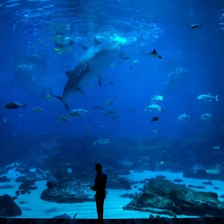 Centro By Silastur شقة خيخون